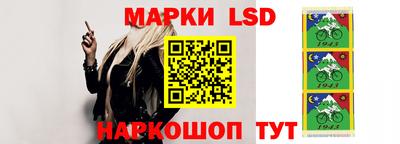 гашик Новокубанск